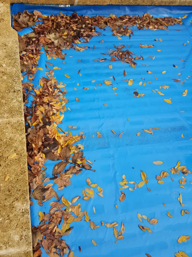 Capaxion Volet Roulant Piscine Marseille Bache De Protection PROCOVER ALBON 1